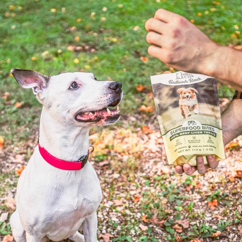 Beef Liver Treats 4 oz D327118