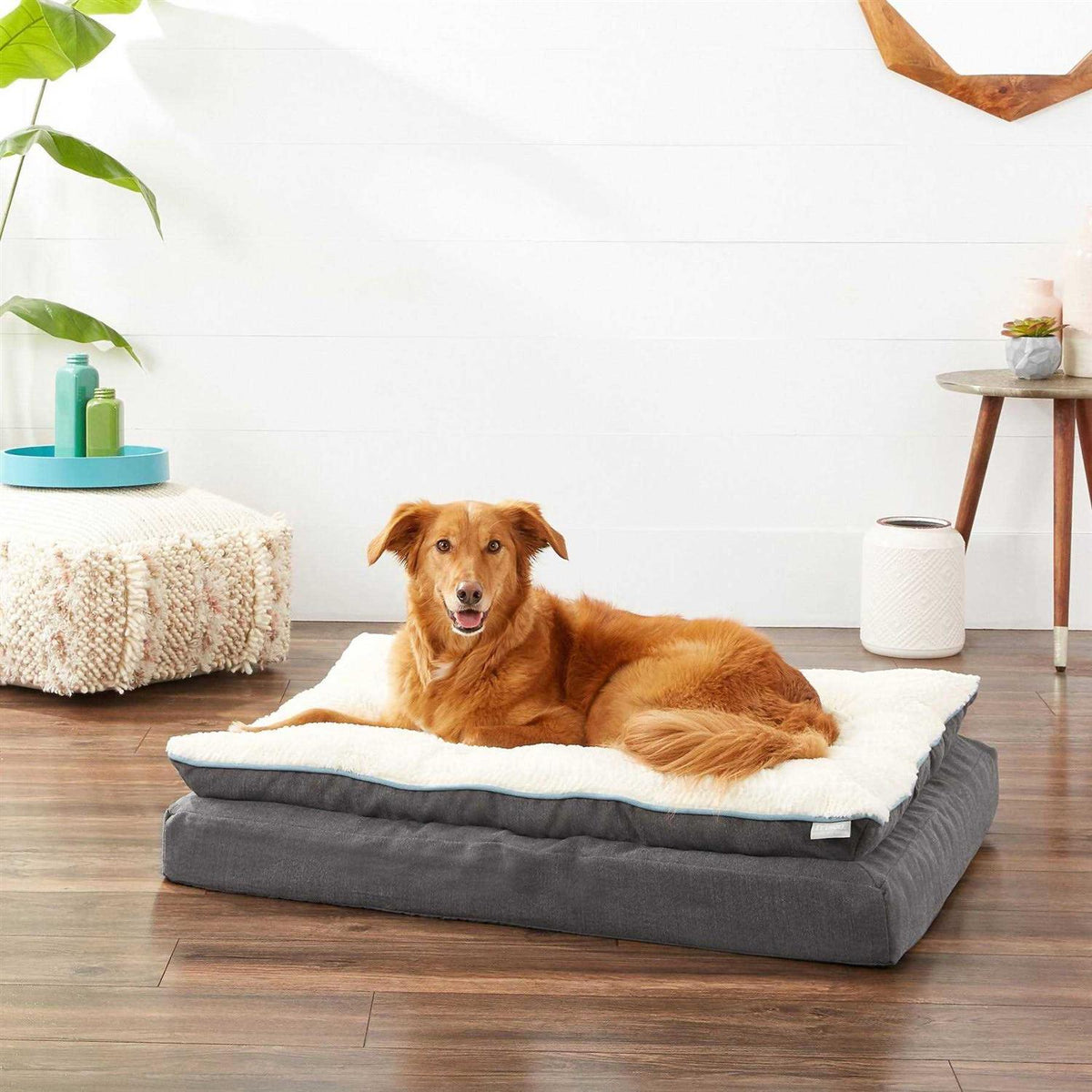 Plush Orthopedic Pillowtop Dog Bed with Removable Cover R702