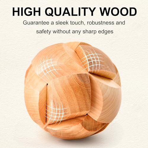 16 PCS Metal & Wooden Brain Teaser Puzzle Set P7357