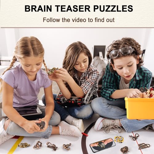 16 PCS Metal & Wooden Brain Teaser Puzzle Set P7357