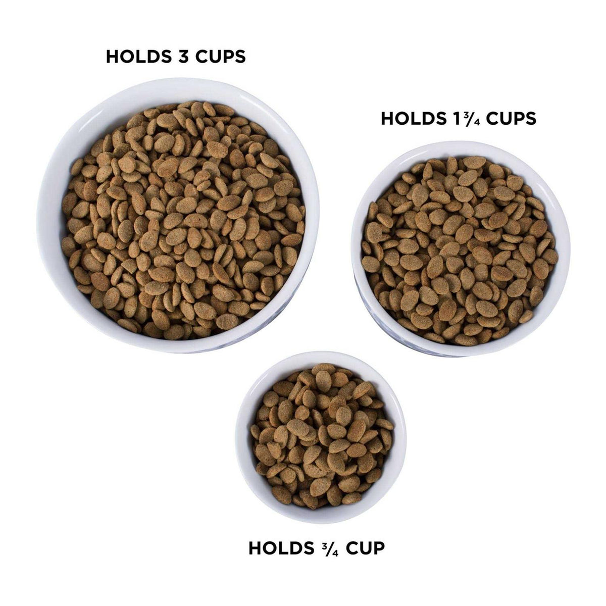 Bone Dry Paw Patch Pet Bowl N3752