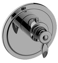 Polished Chrome Thermostatic Trim Plate with Handle R45654