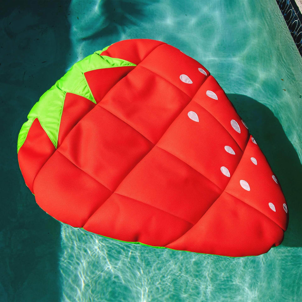 Fruit Float H128