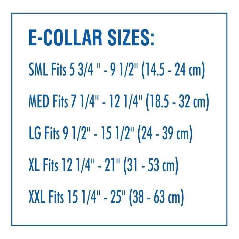 Dog E-Collar N234216