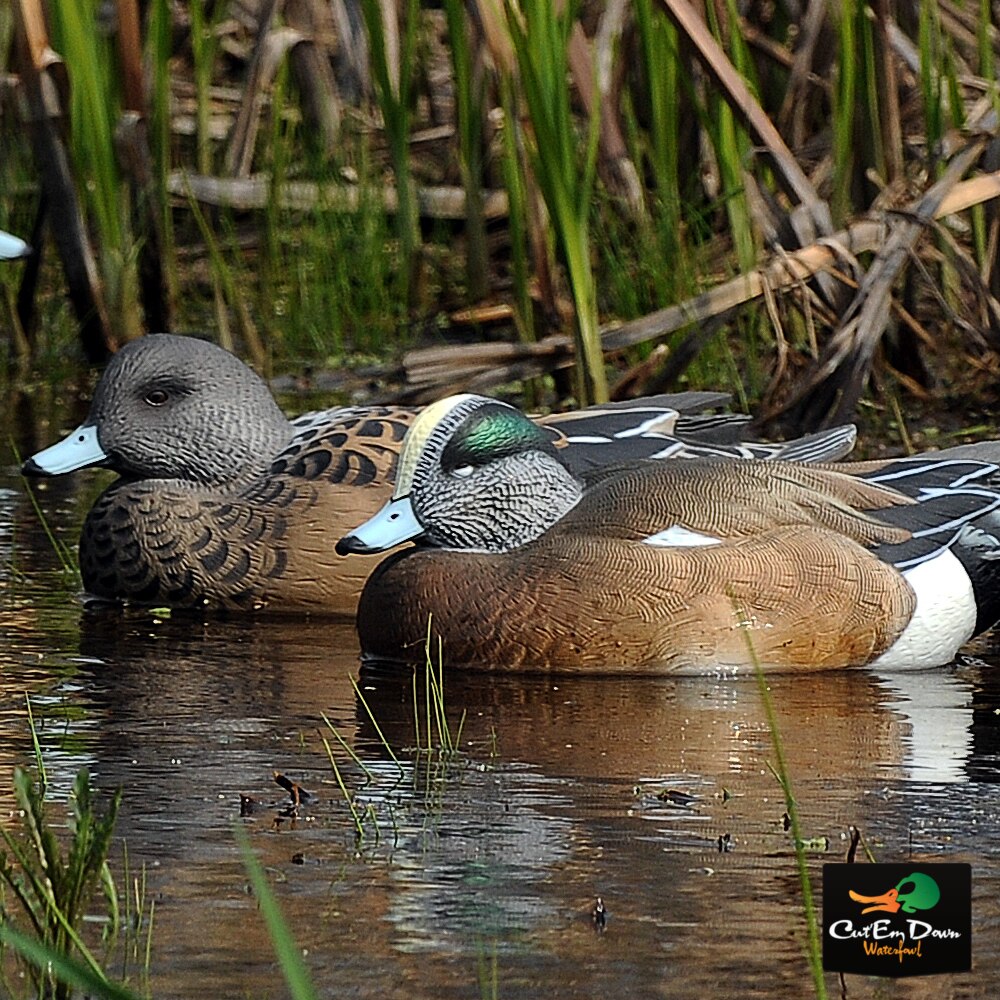 1/2 Dozen Duck Decoy T5261