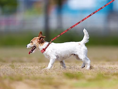 3 PCS Puppy Collar and Leash Set with Bell Blue G626538