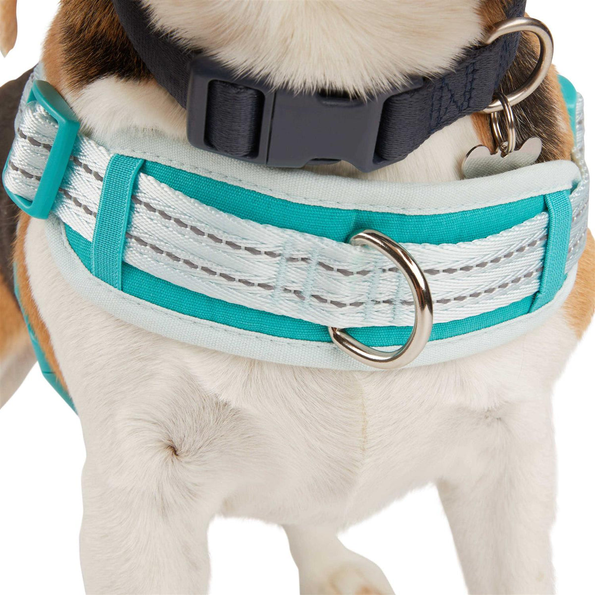 Easy On Training Dog Harness X179518