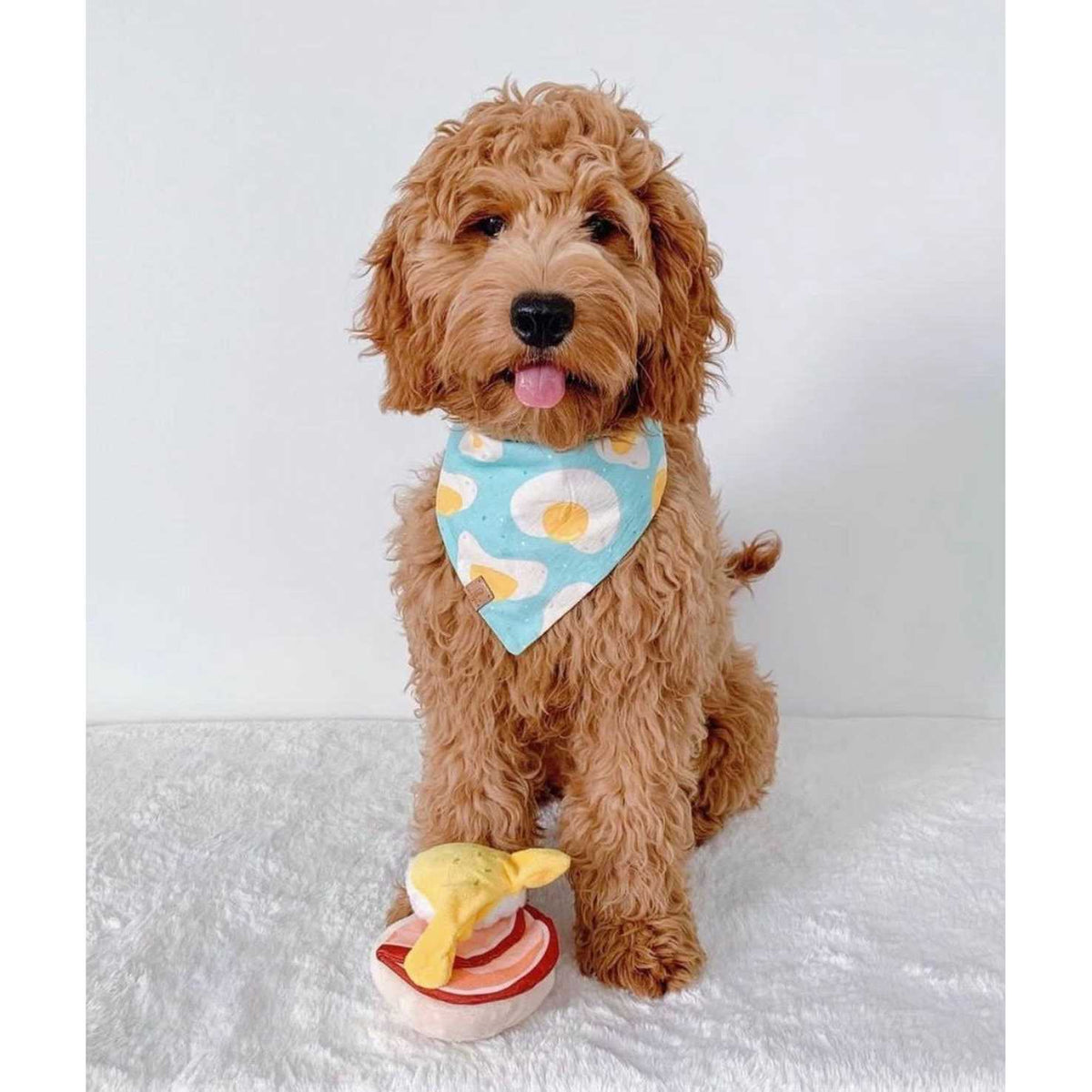 Dog Toy R2449