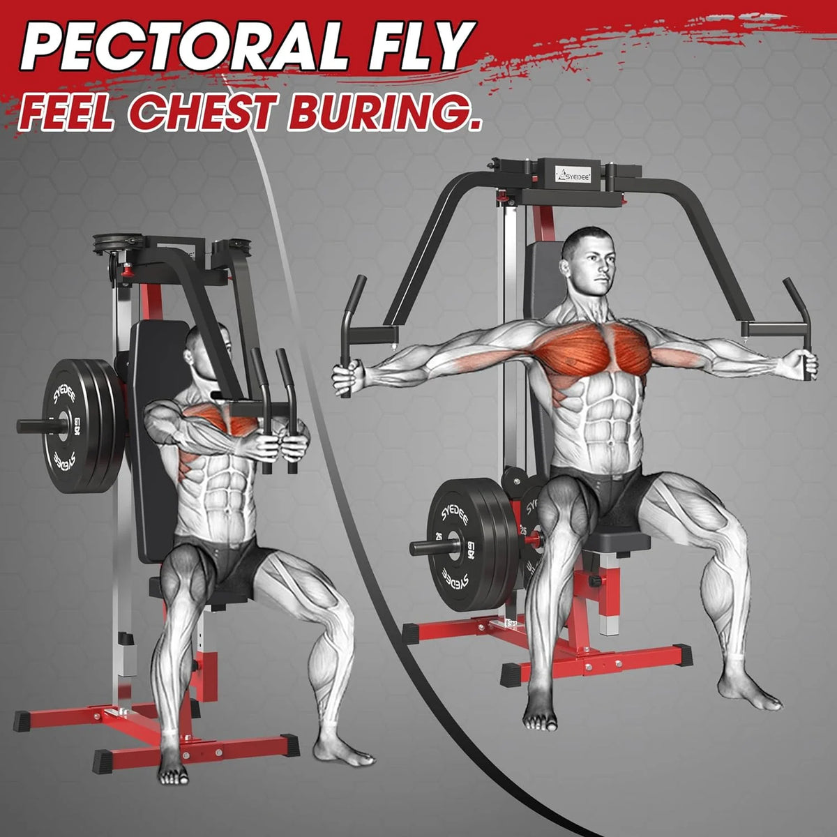 Chest Fly and Reverse Delt Machine 400 lbs T3738
