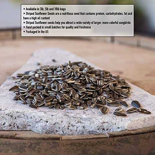 Striped Sunflower Seeds K3008