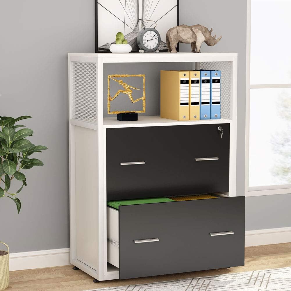 2 Drawer Locking File Cabinet with Storage Shelves M283307