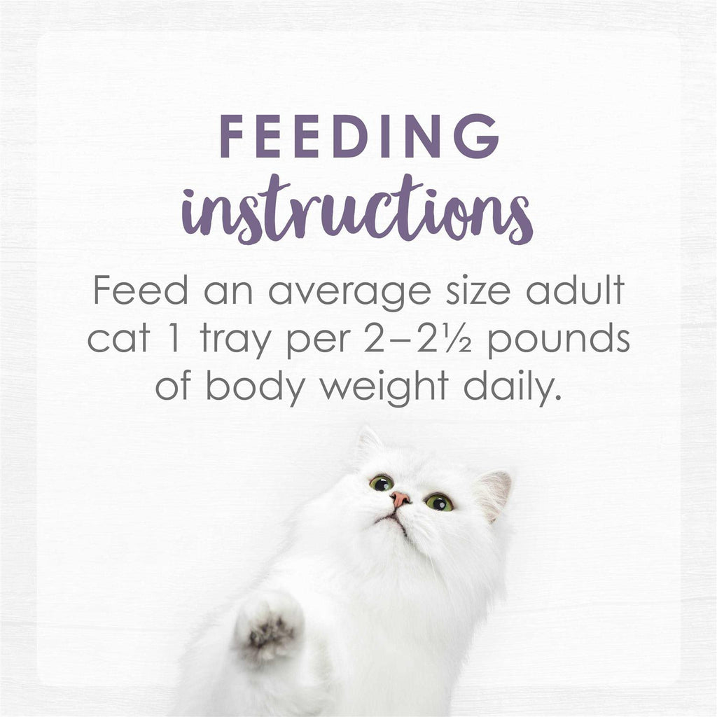 Cat Food Z629