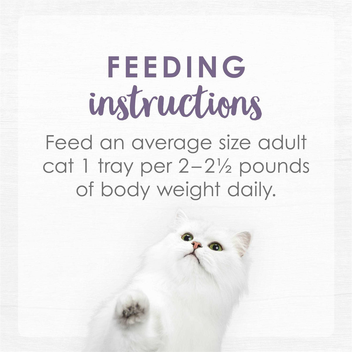 Cat Food Z629