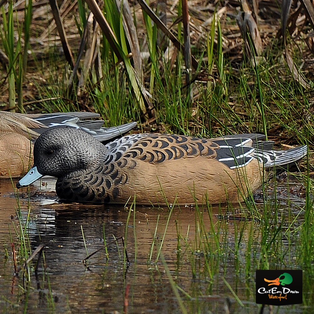 1/2 Dozen Duck Decoy T5261