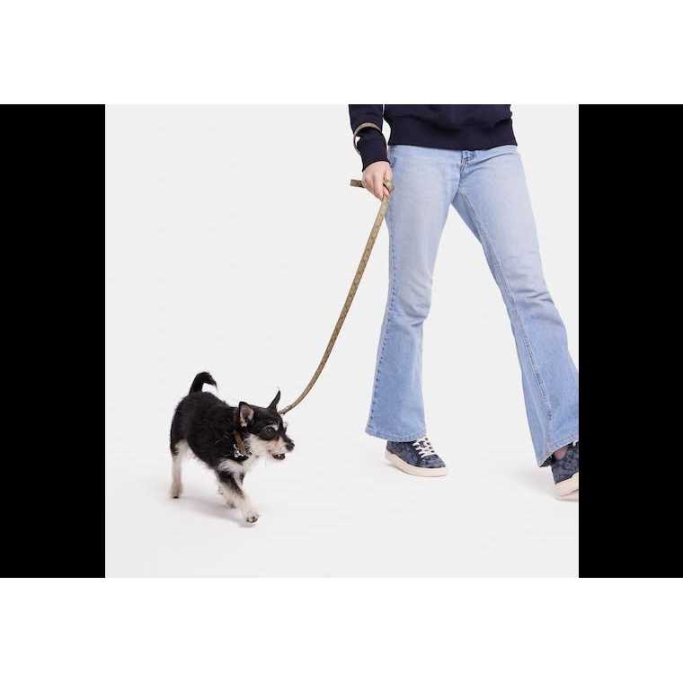 Boxed Pet Leash In Signature Canvas I450099