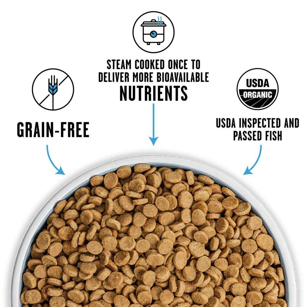 Grain-Free Dry Dog Food B417897