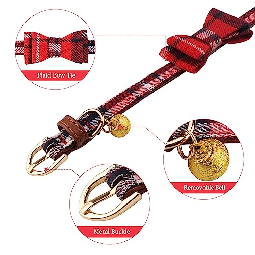 3 PCS Puppy Collar and Leash Set with Bell Blue G626538
