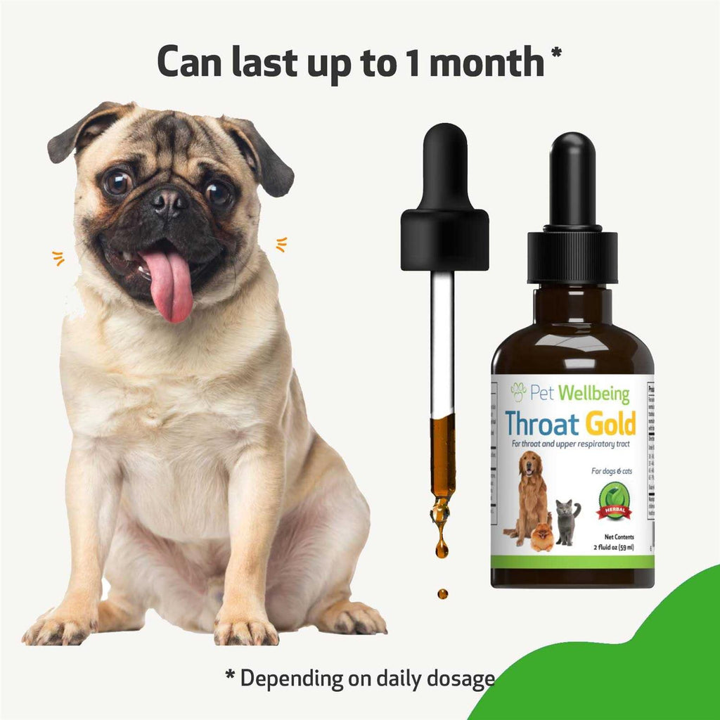 Throat Gold for Dogs A646