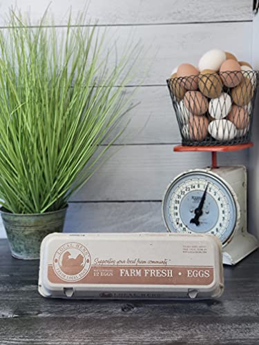 12-Egg Paper Pulp Egg Carton - 50 Pack U5635