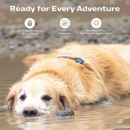 Outdoor GPS Dog Tracker B7835