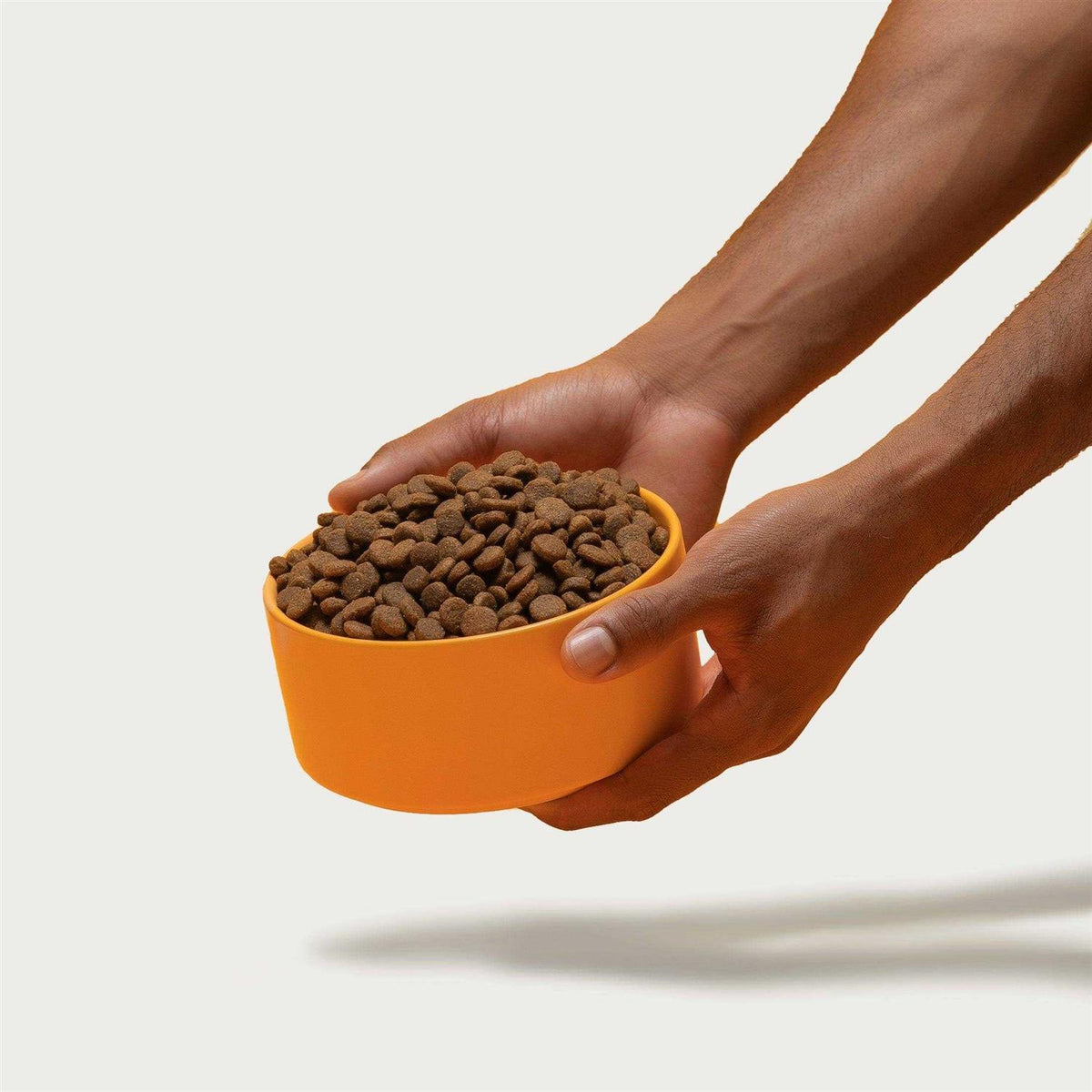 Brown Rice & Sweet Potato Dry Dog Food R135