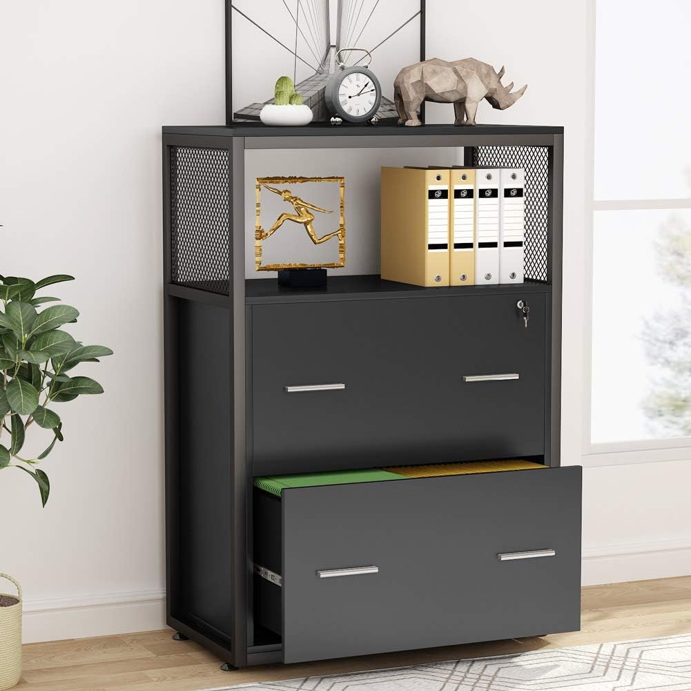 2 Drawer Locking File Cabinet with Storage Shelves M283307