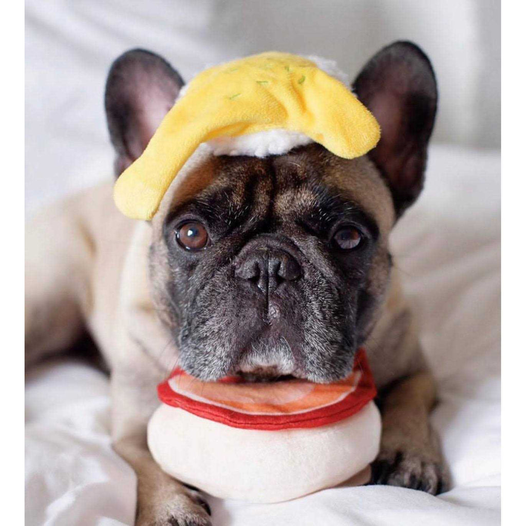 Dog Toy R2449
