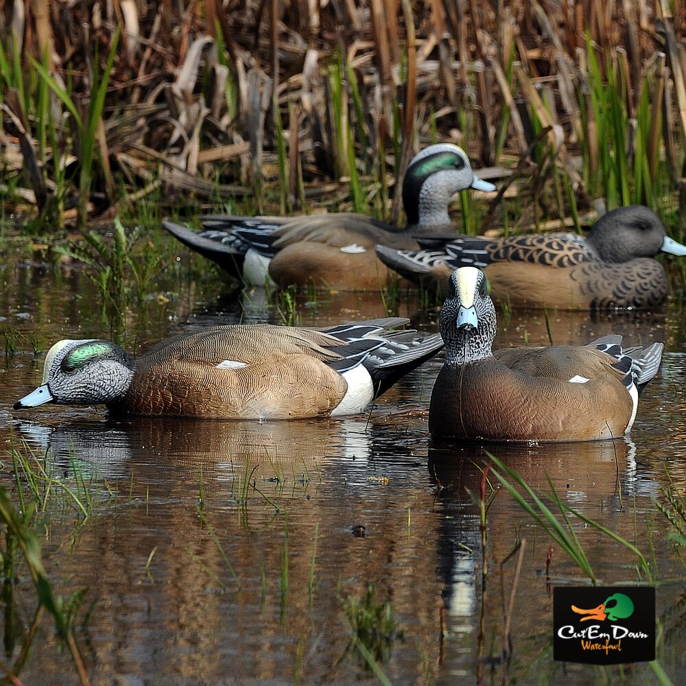 1/2 Dozen Duck Decoy T5261