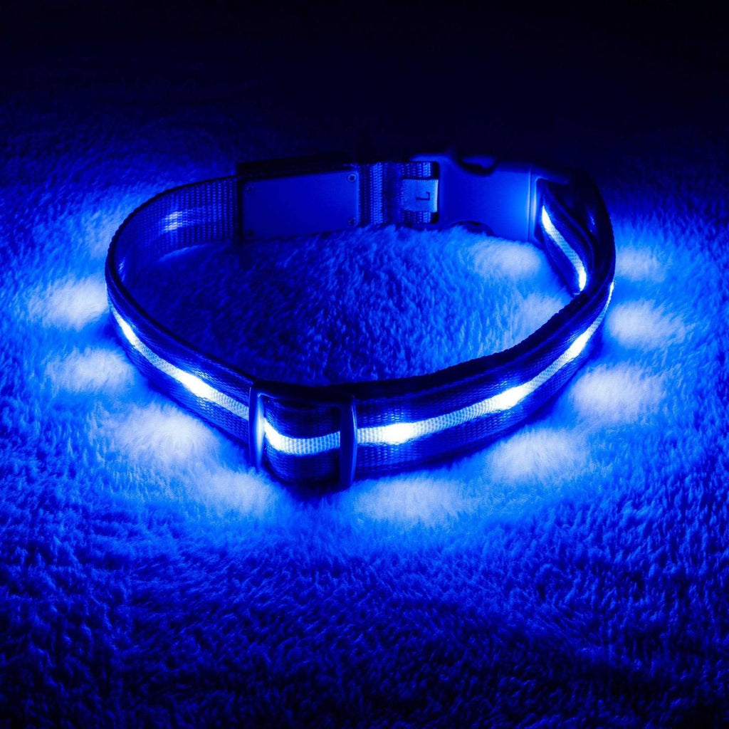 LED Light Up Dog Collar M56772