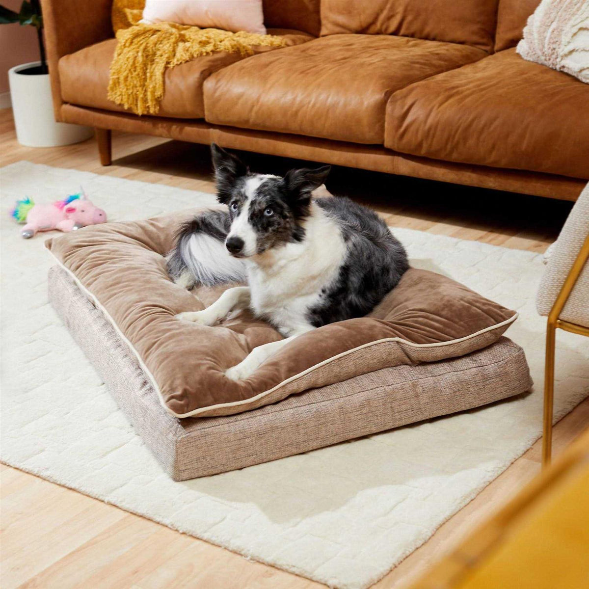 Plush Orthopedic Pillowtop Dog Bed with Removable Cover R702