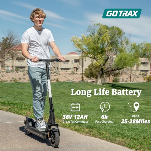 500W Motor 10" Solid Tire Foldable Electric Scooter B82214