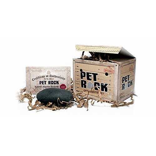 Pet Rock J411528