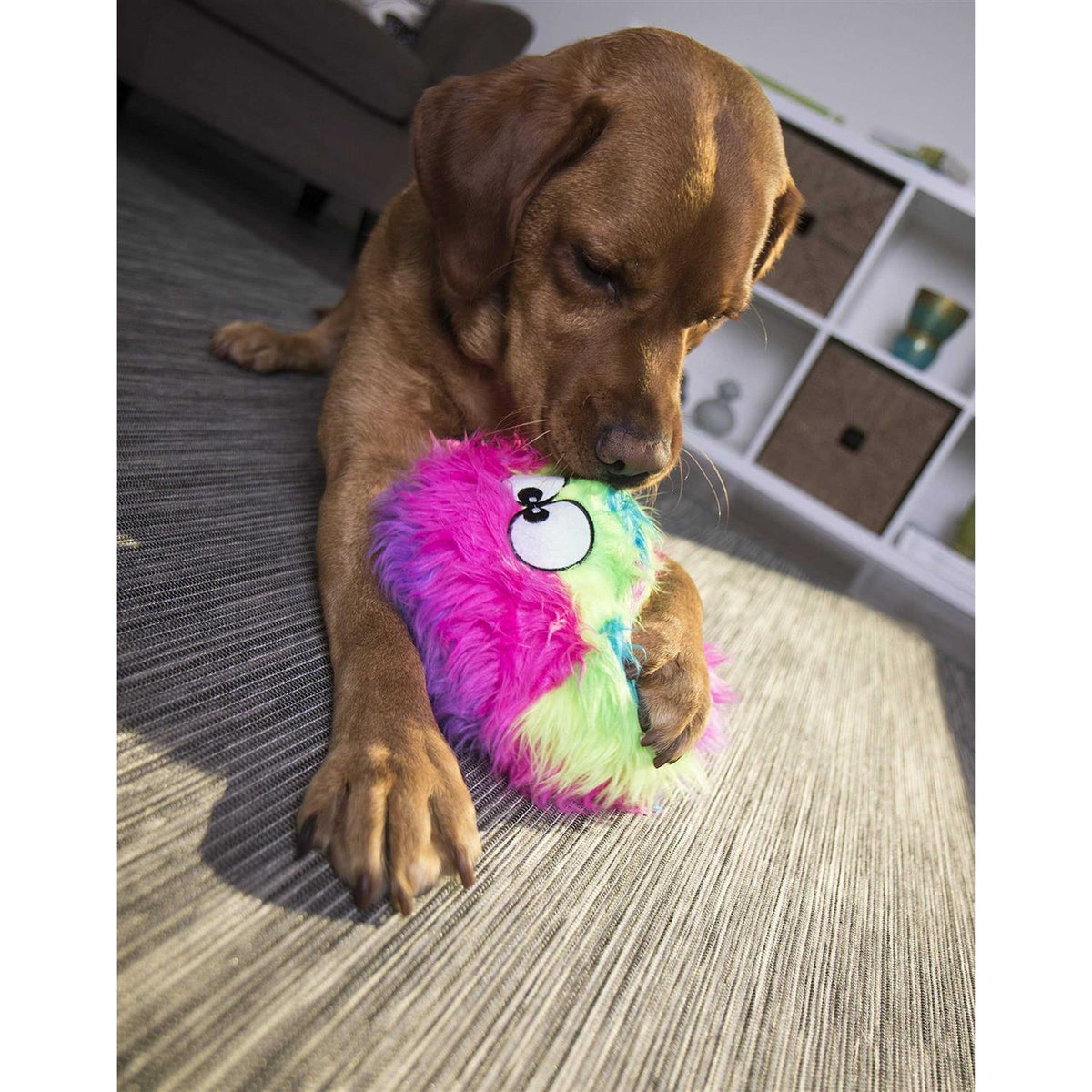 Dog Toy C98225