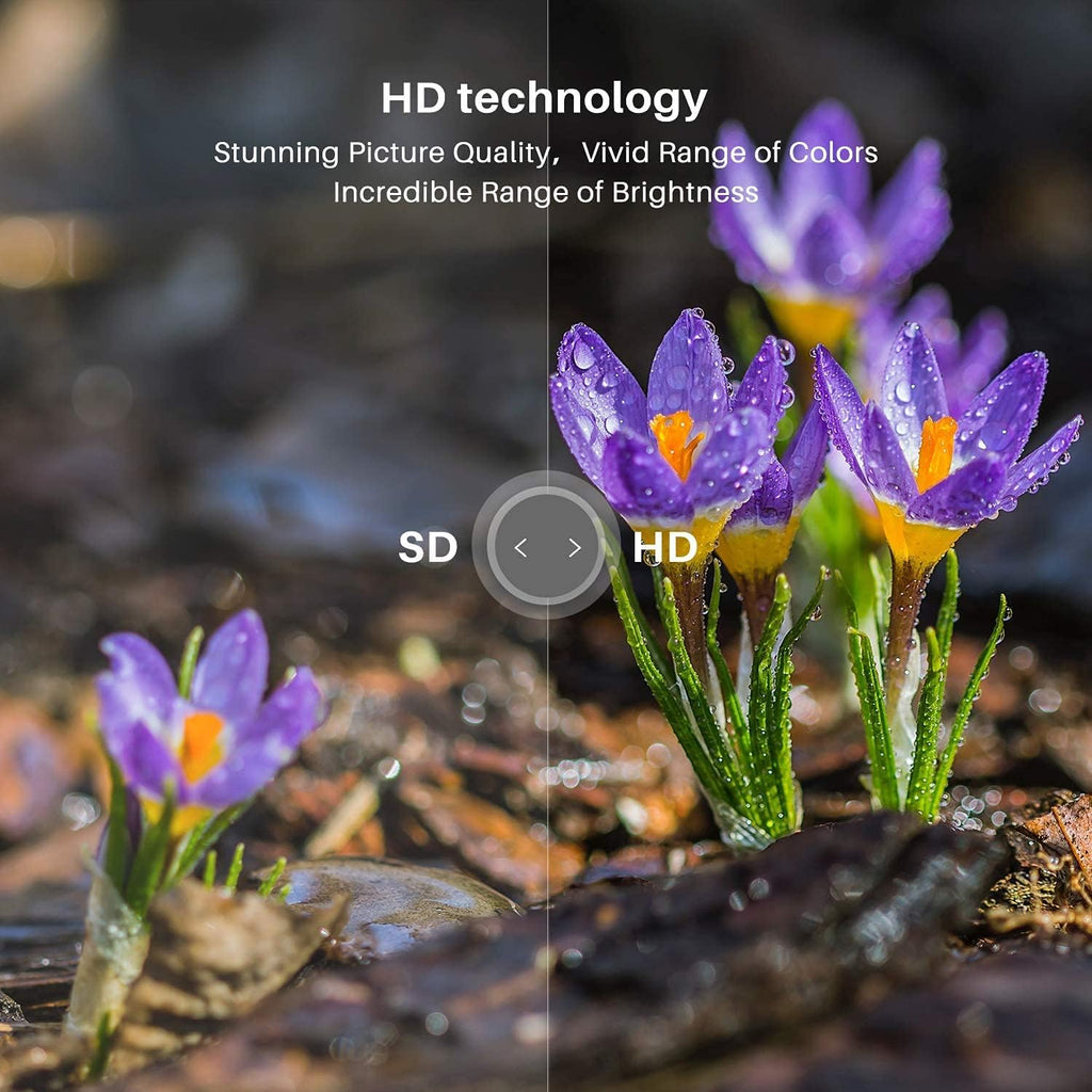 24 inch HD LED TV with HDMI, USB, VGA, Dolby Audio N41415