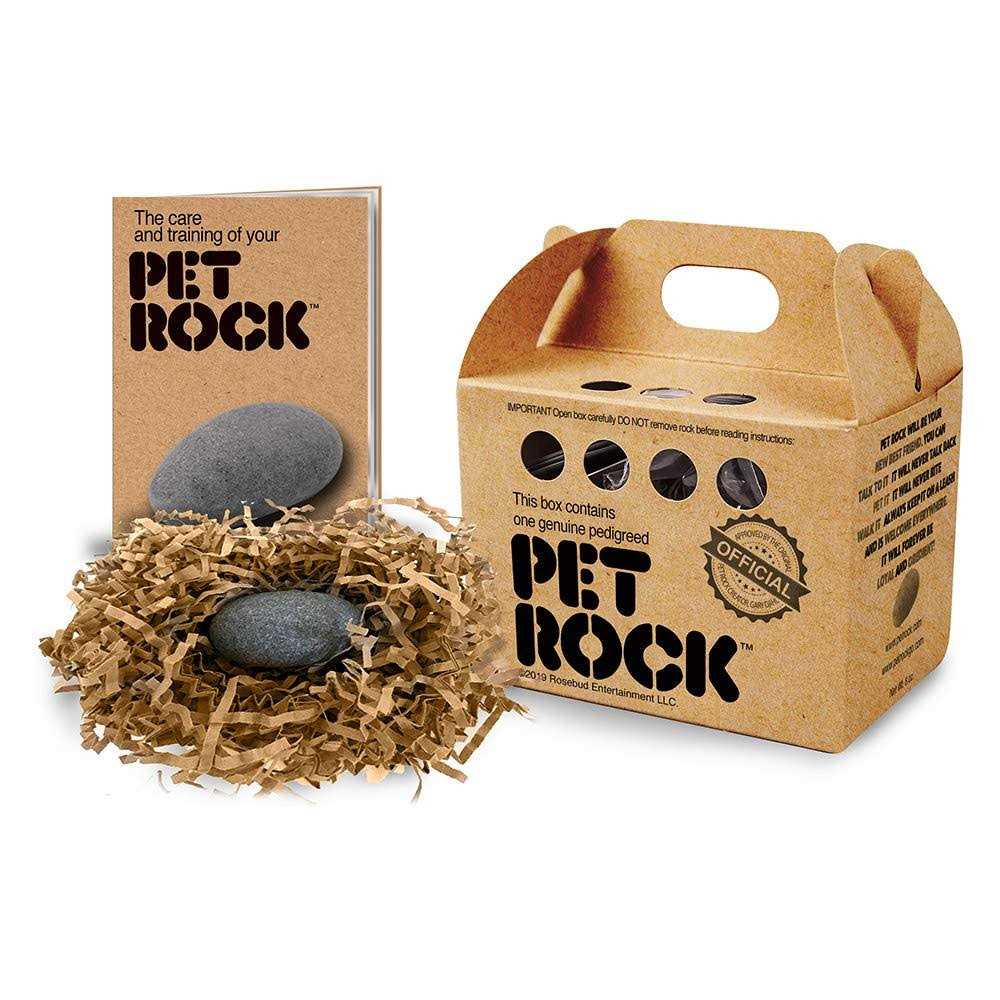 Pet Rock J411528