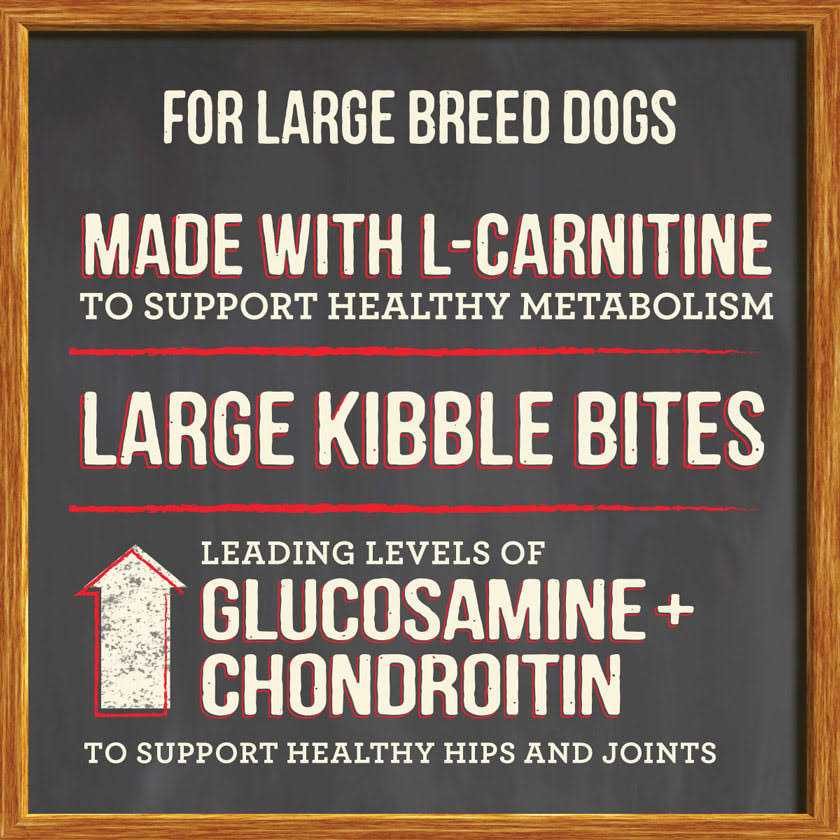 Healthy Grains Dry Dog Food Large Breed G259