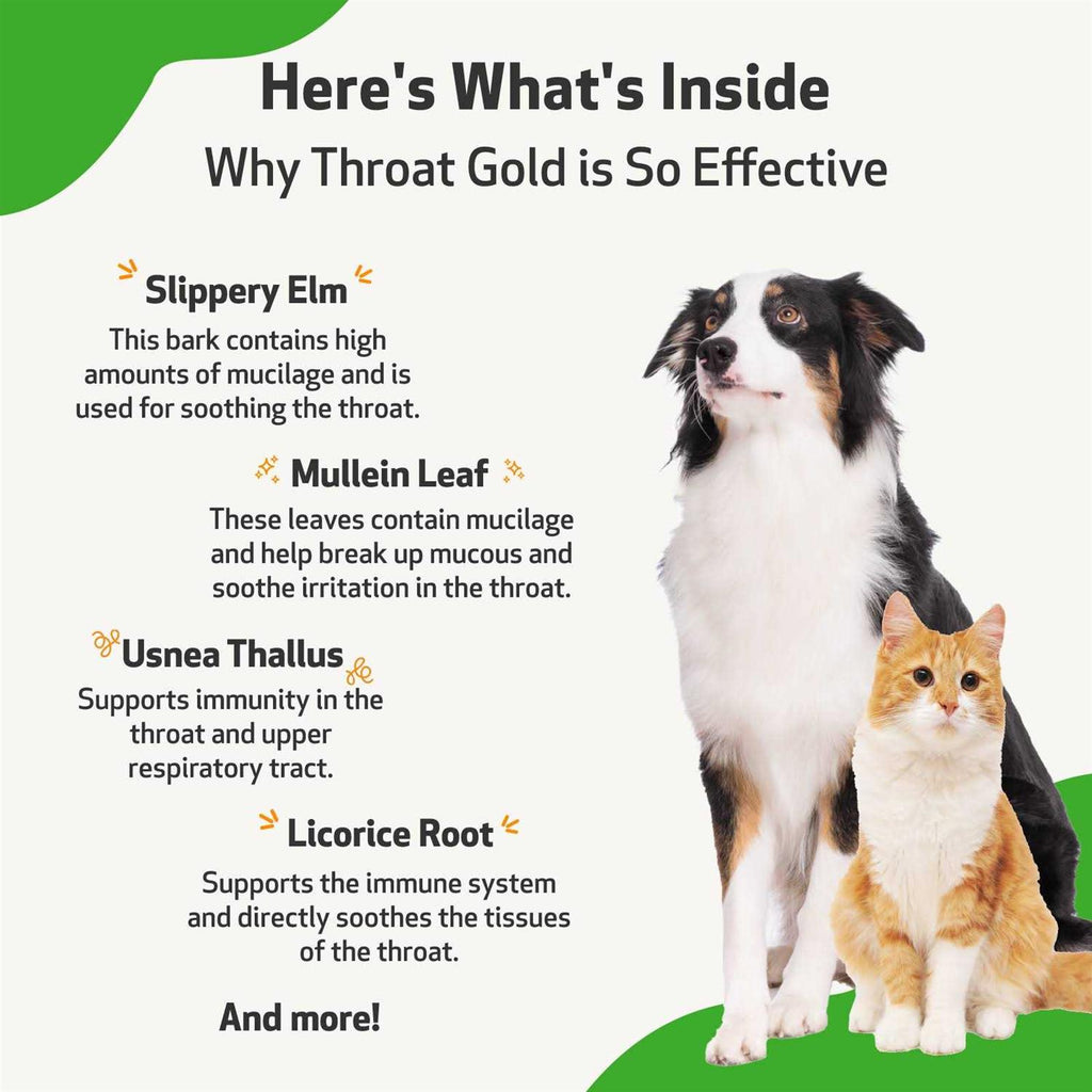 Throat Gold for Dogs A646