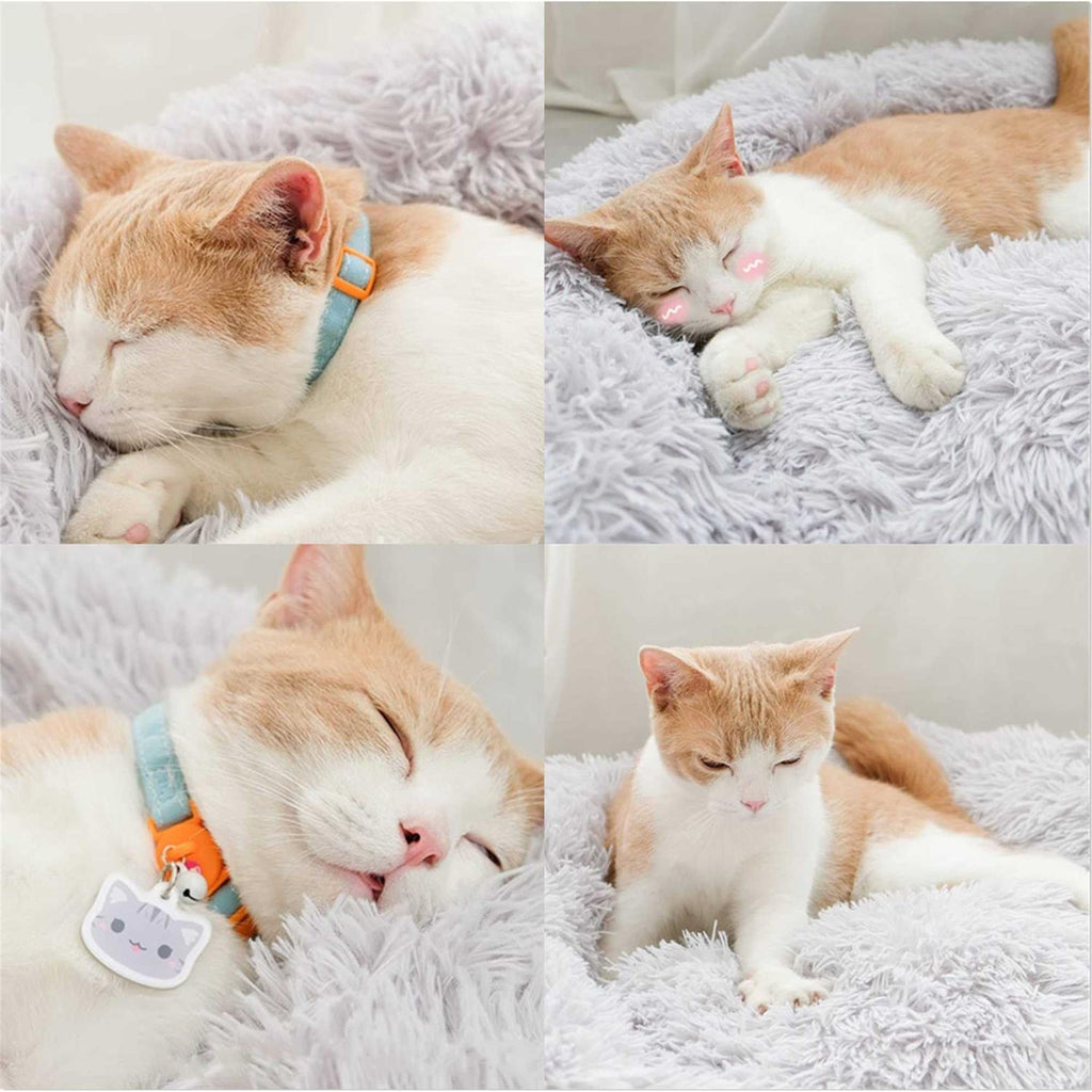 Washable Soft Plush Pet Bed Y690390