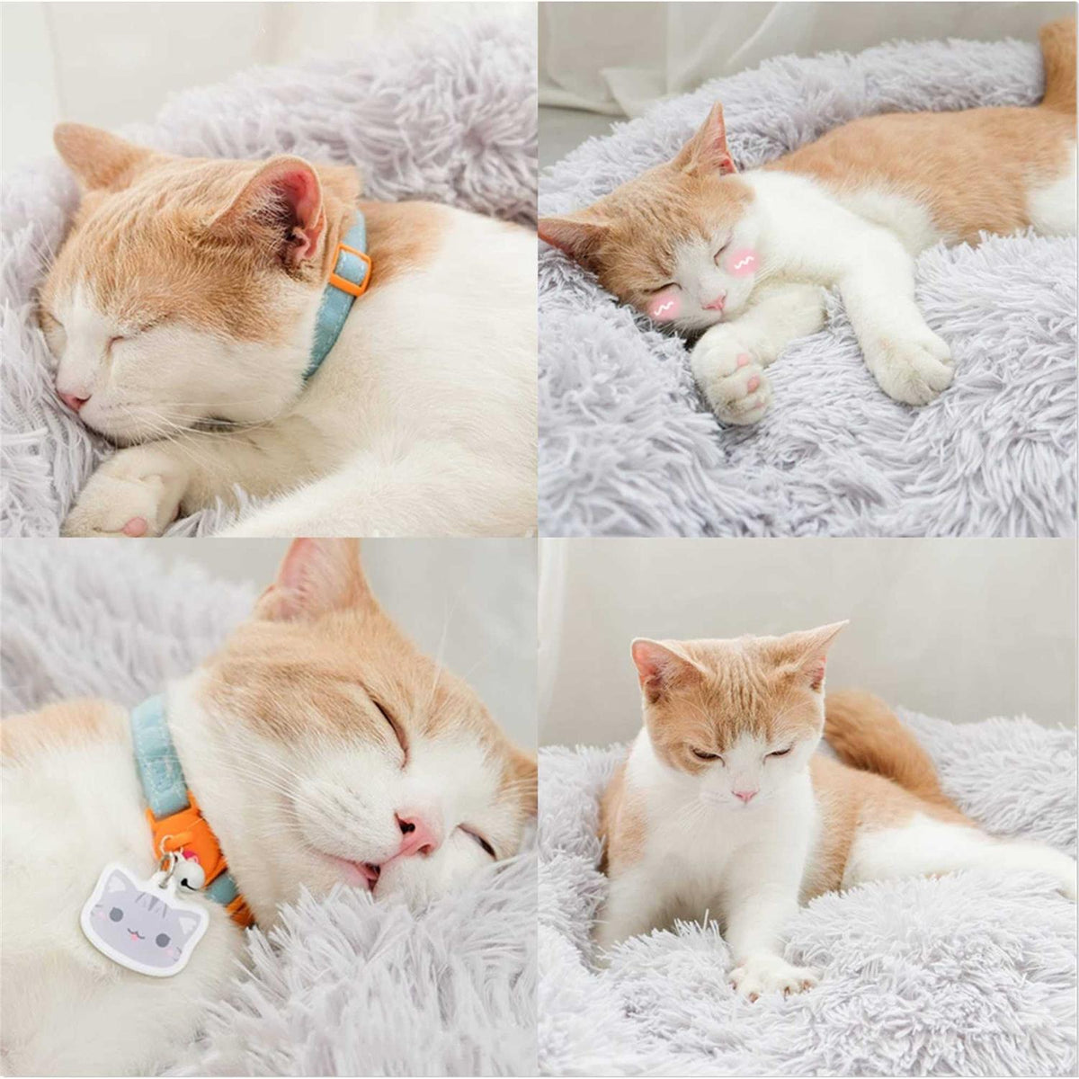 Washable Soft Plush Pet Bed Y690390
