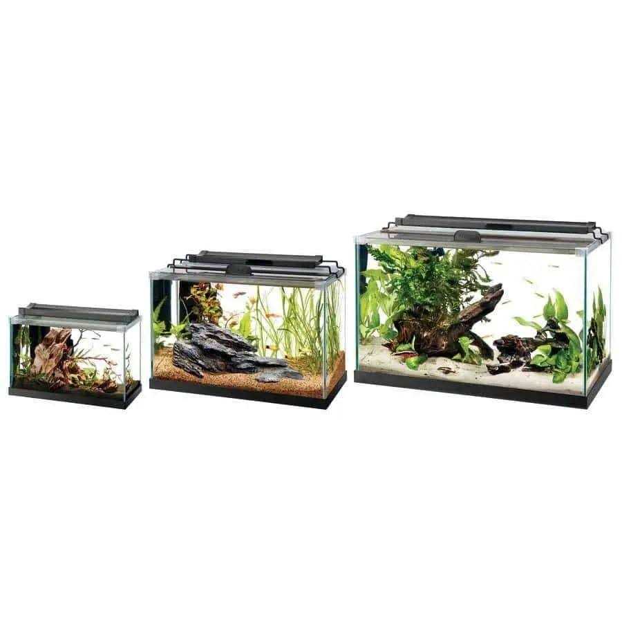 Rimless Rectangle Aquarium L660353