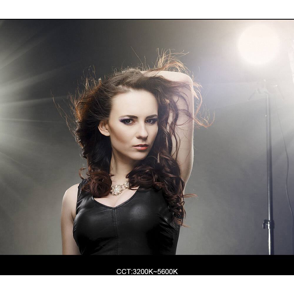 LED Daylight Video Light A55286