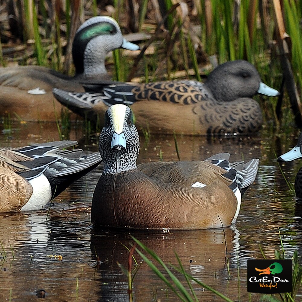 1/2 Dozen Duck Decoy T5261