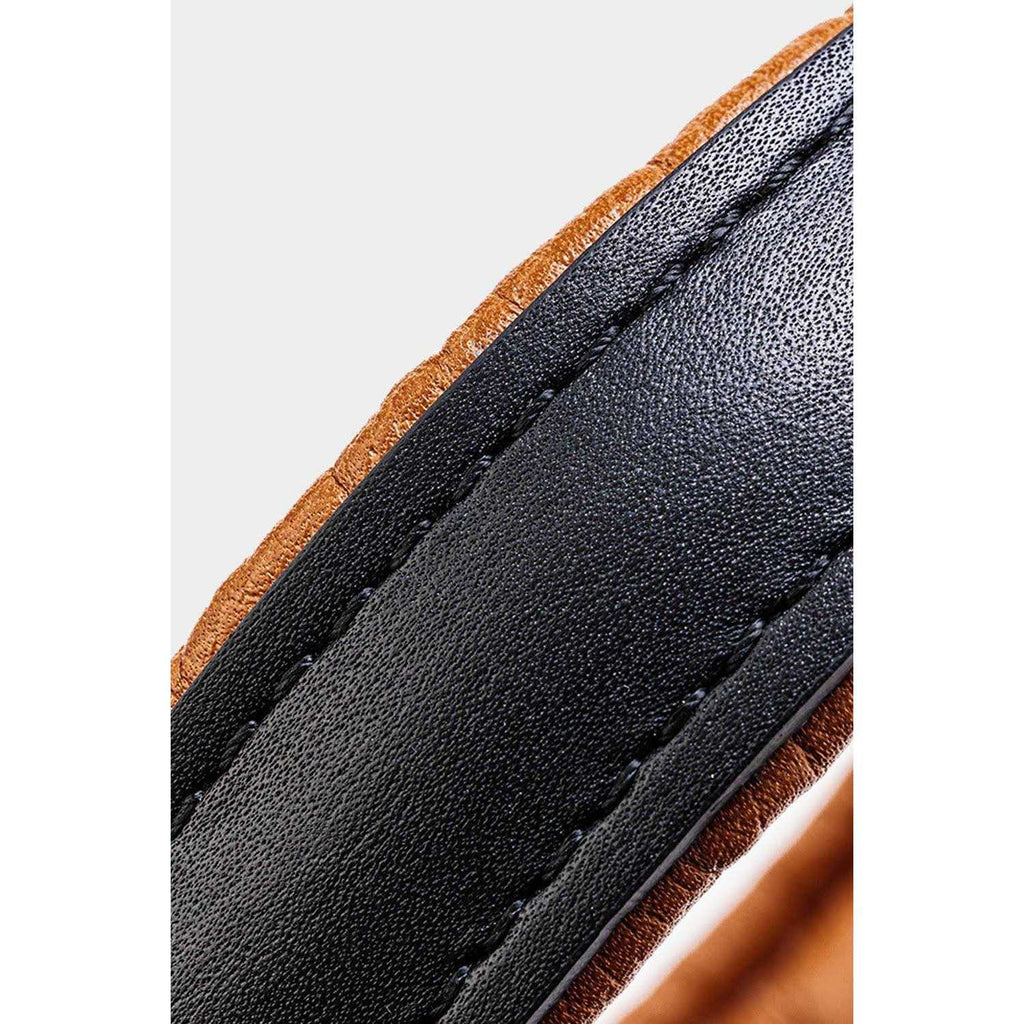 Padded Leather Dog Collar E112