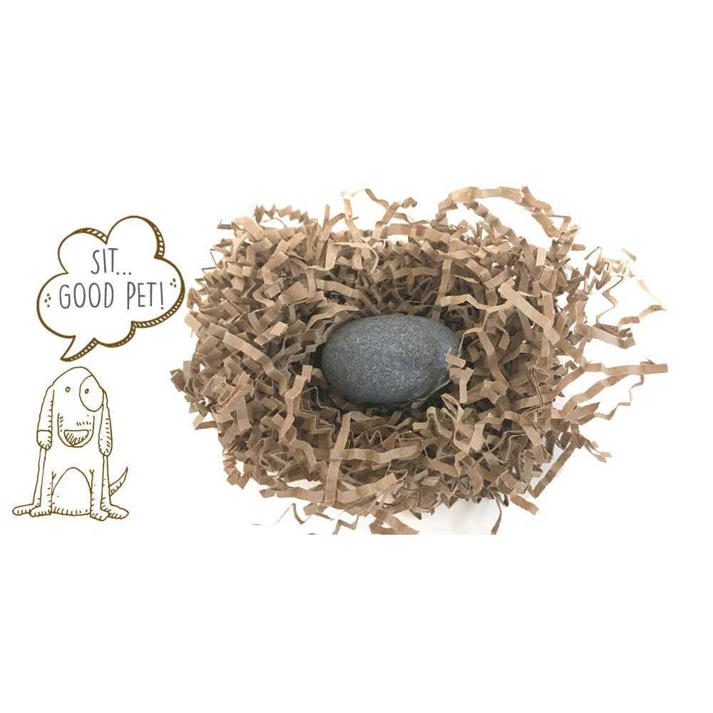 Pet Rock J411528