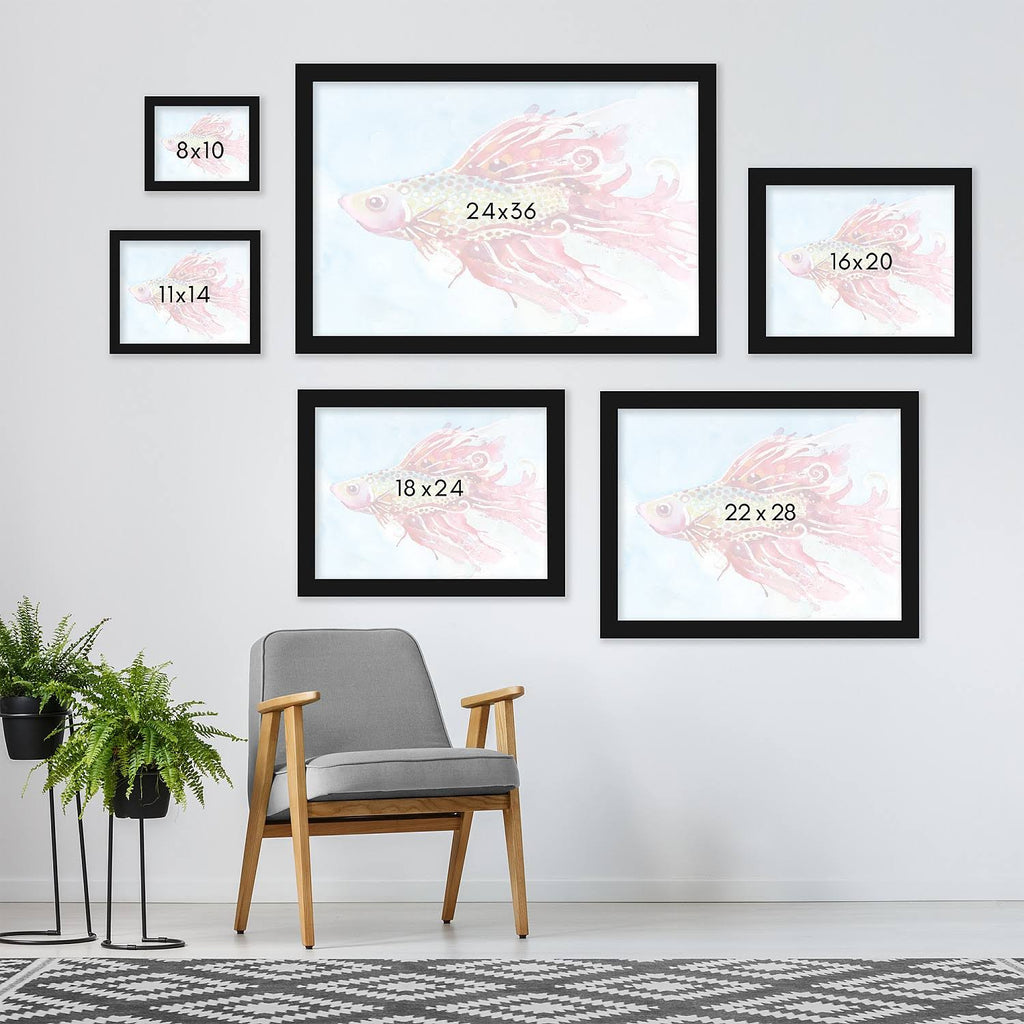 Black Frame Fish Swim Picture U987618