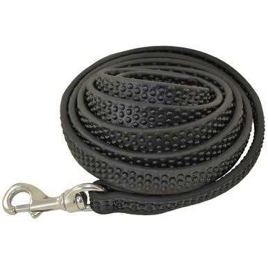 Biothane Leashes X85627