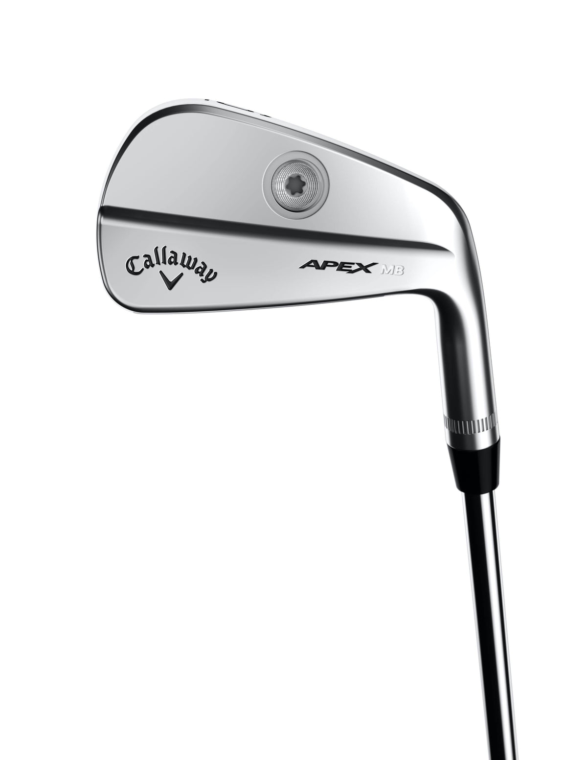 Steel Regular Right Handed 6 Iron B56460