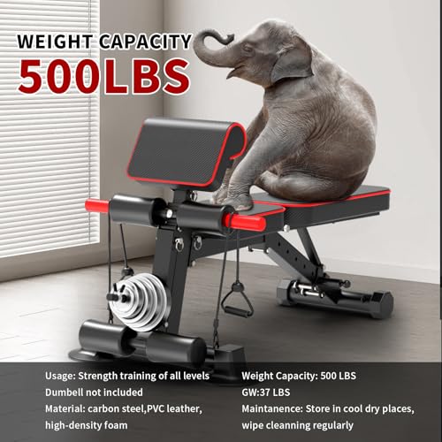 Adjustable Foldable Incline Decline Weight Bench Y604762