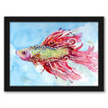 Black Frame Fish Swim Picture U987618