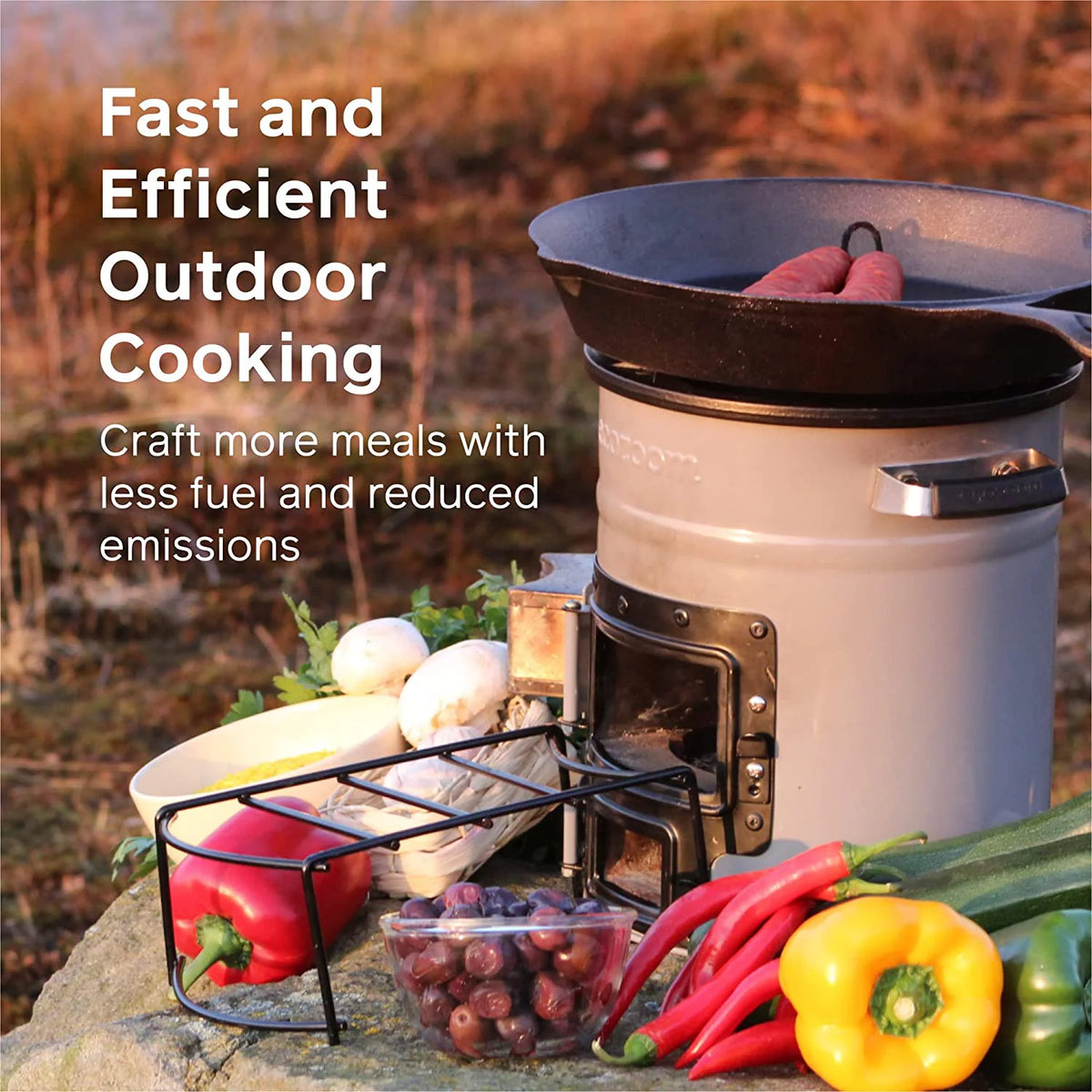 Portable Dual-Fuel Camp Stove U26933